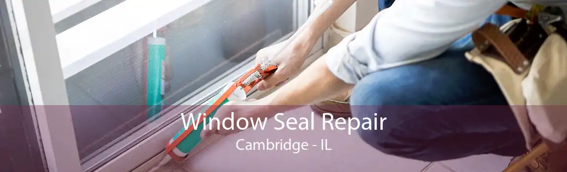 Window Seal Repair Cambridge - IL