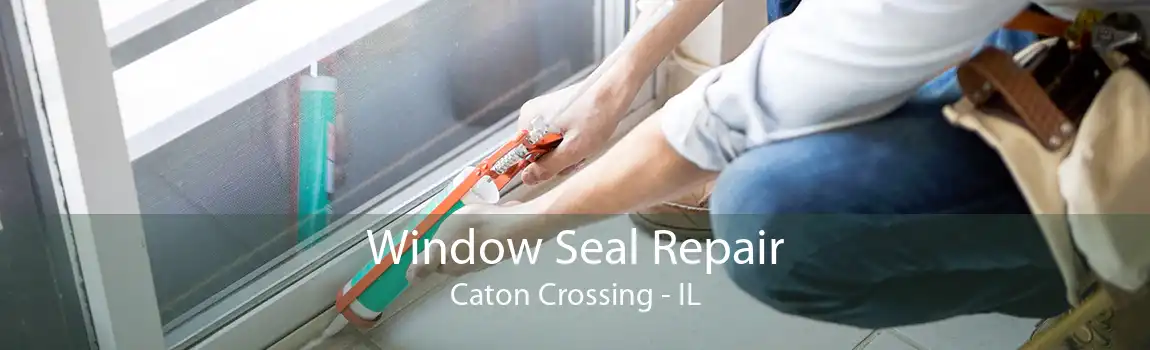 Window Seal Repair Caton Crossing - IL