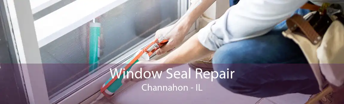 Window Seal Repair Channahon - IL