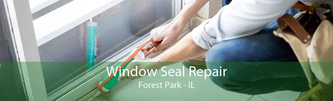 Window Seal Repair Forest Park - IL