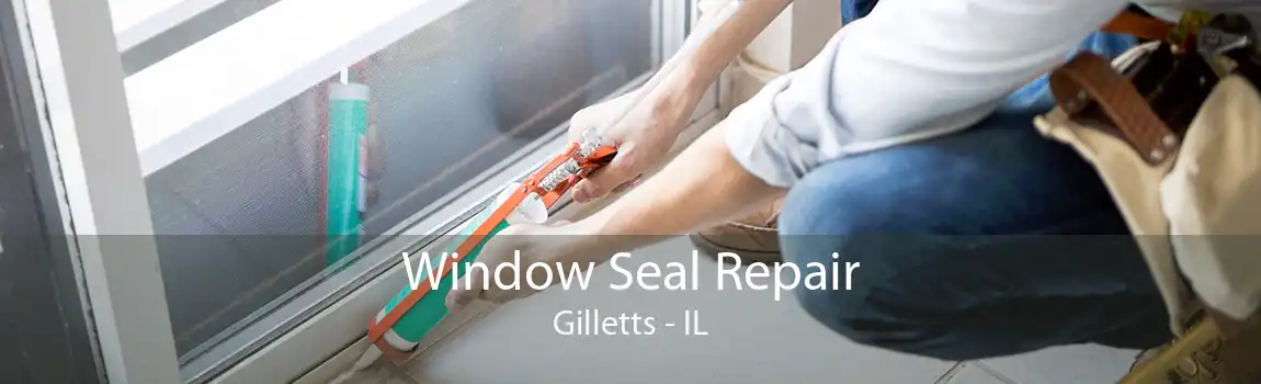 Window Seal Repair Gilletts - IL