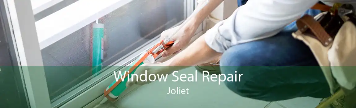 Window Seal Repair Joliet