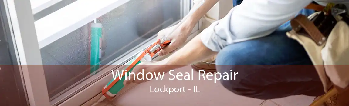 Window Seal Repair Lockport - IL