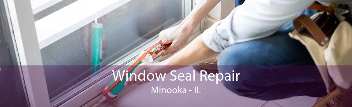 Window Seal Repair Minooka - IL