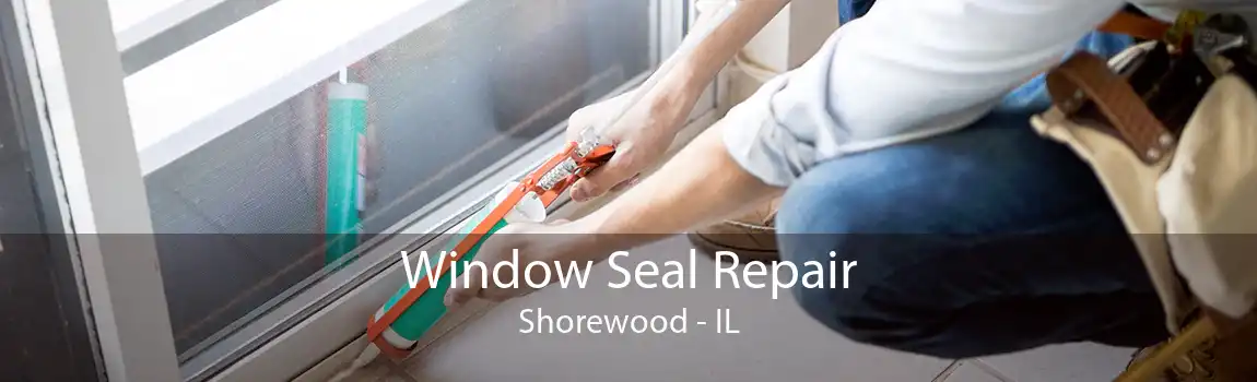 Window Seal Repair Shorewood - IL